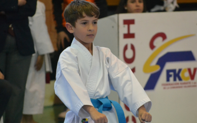 125 karatecas obtienen medalla en la segunda jornada de la Liga Autonómica de Categorías Inferiores y Para-Karate 2025