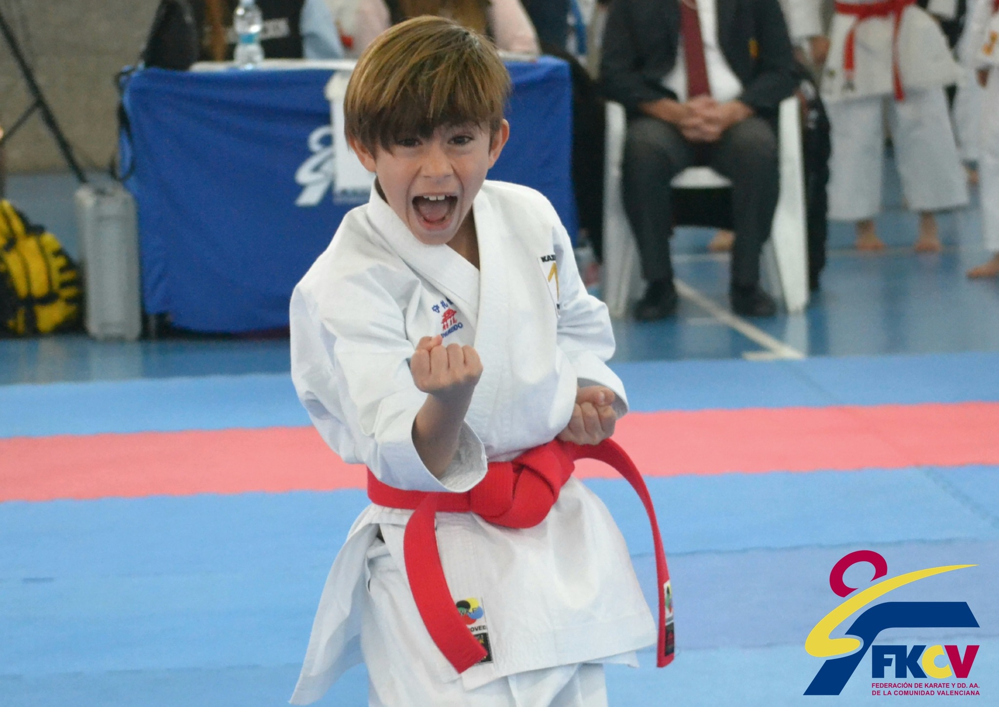 El futuro del karate valenciano consigue 136 medallas en el inicio de la Liga Autonómica Infantil y Para-Karate 2025.