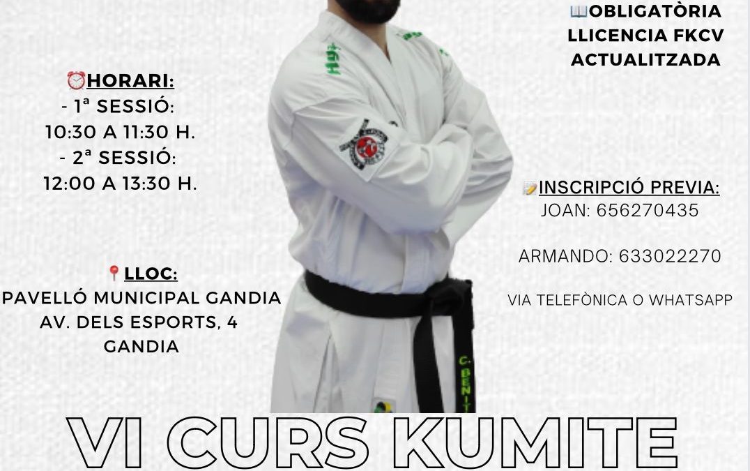 VI Curs de Kumite Christian Benita