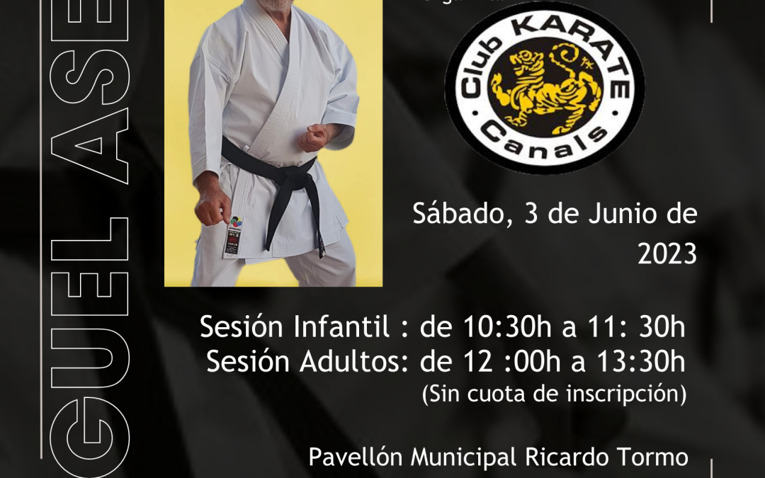 Curso Miguel ASENSI