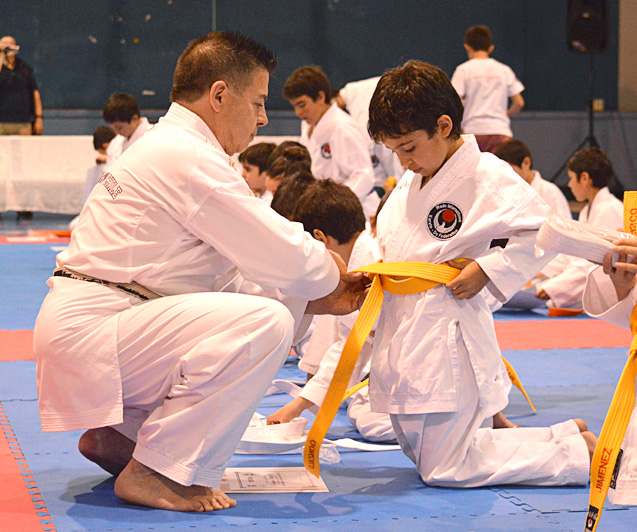 El karate desde la perspectiva del alumno