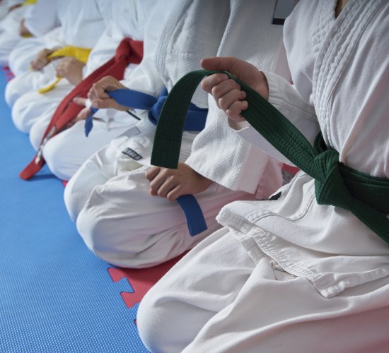 La enseñanza físico-educativa del karate infantil